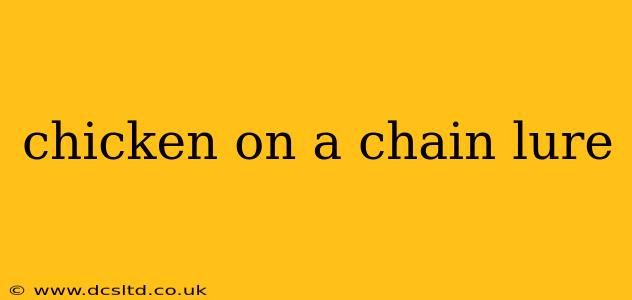 chicken on a chain lure