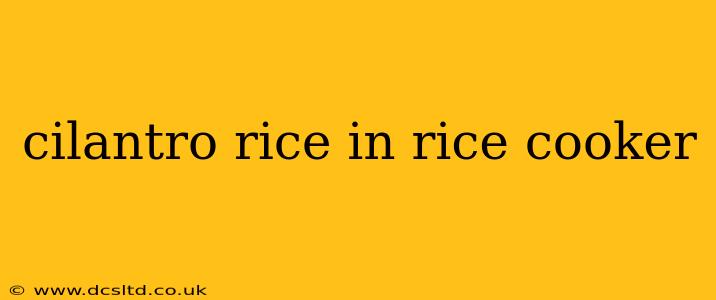 cilantro rice in rice cooker