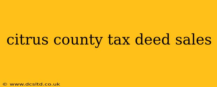 citrus county tax deed sales