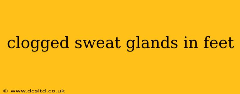 clogged sweat glands in feet