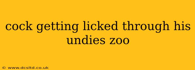 cock getting licked through his undies zoo cock getting licked through his undies zoo