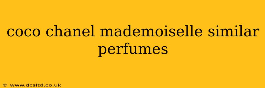 coco chanel mademoiselle similar perfumes
