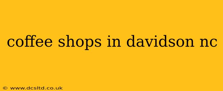 coffee shops in davidson nc