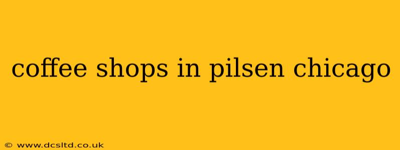 coffee shops in pilsen chicago