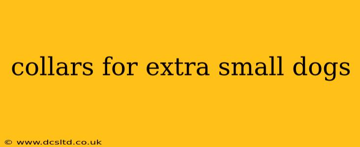 collars for extra small dogs