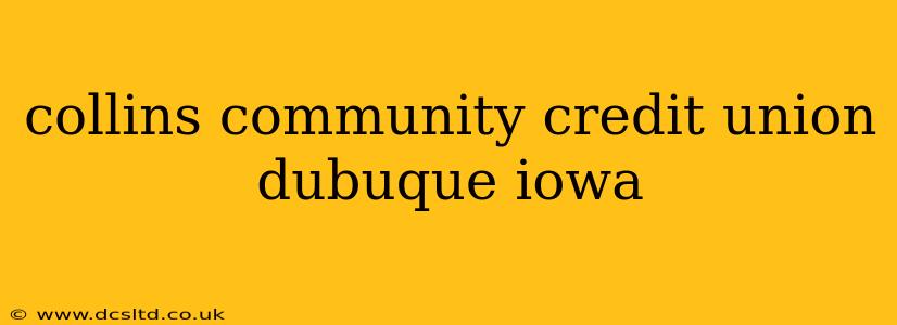 collins community credit union dubuque iowa