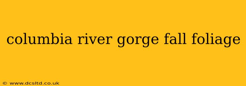 columbia river gorge fall foliage