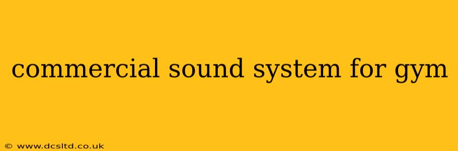 commercial sound system for gym