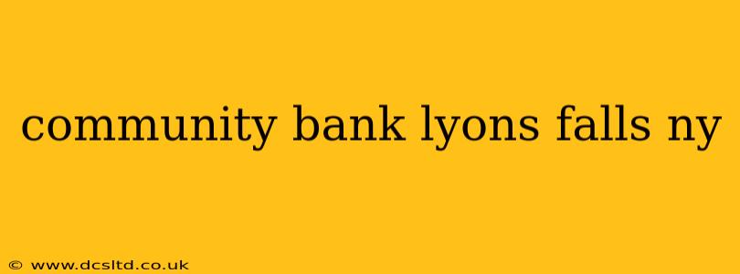 community bank lyons falls ny