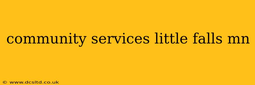 community services little falls mn