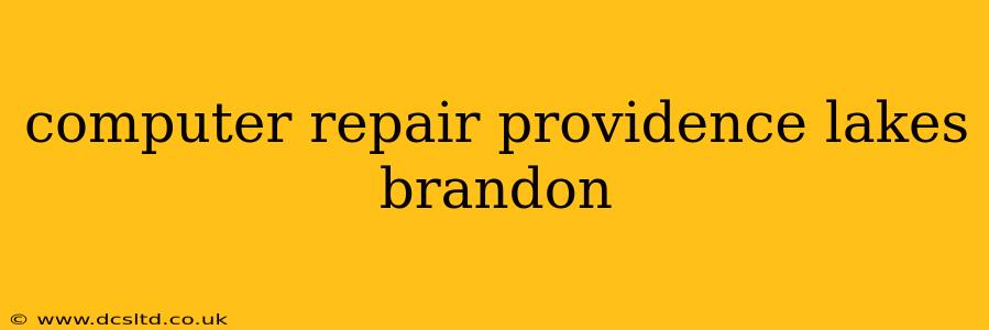 computer repair providence lakes brandon