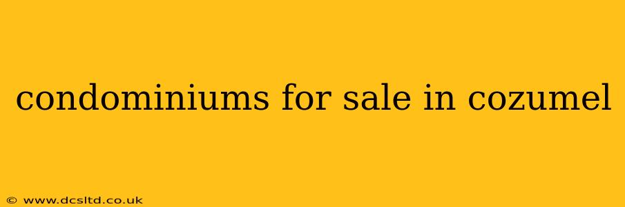 condominiums for sale in cozumel