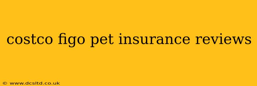 costco figo pet insurance reviews