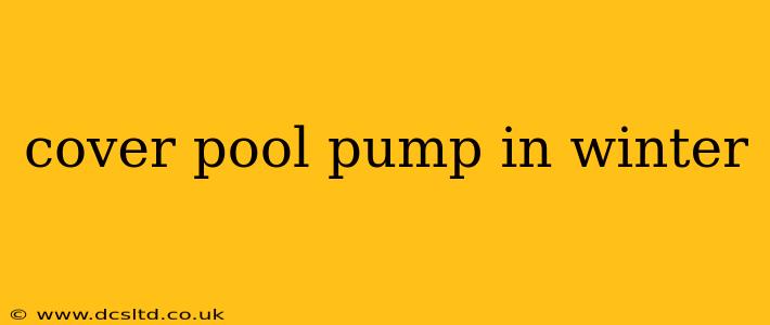 cover pool pump in winter