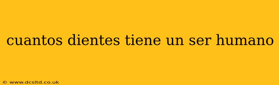 cuantos dientes tiene un ser humano