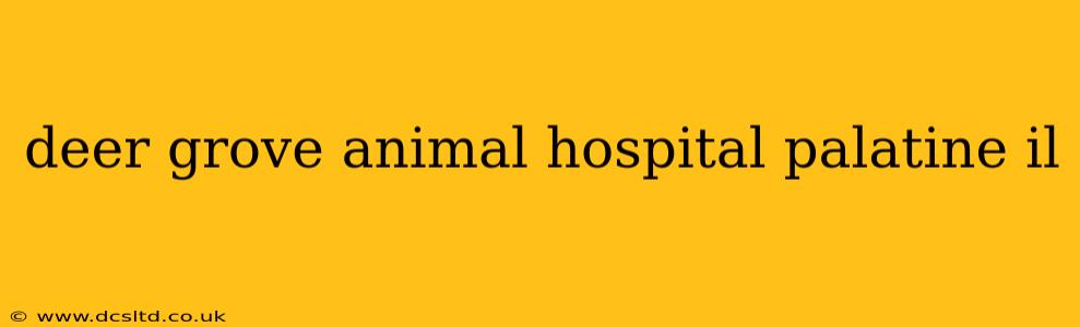 deer grove animal hospital palatine il