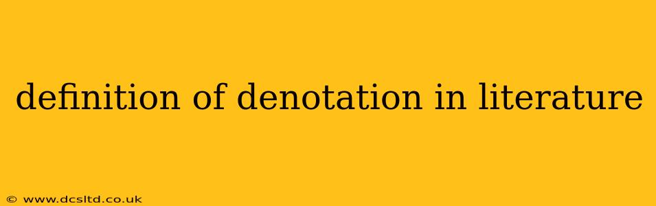 definition of denotation in literature