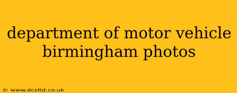 department of motor vehicle birmingham photos