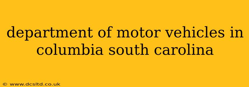 department of motor vehicles in columbia south carolina