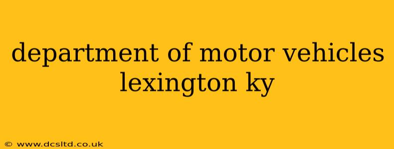 department of motor vehicles lexington ky