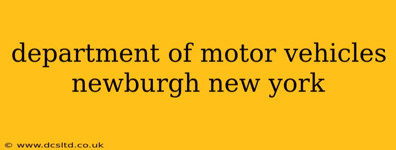 department of motor vehicles newburgh new york