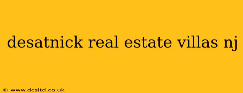 desatnick real estate villas nj