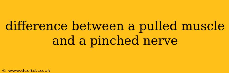 difference between a pulled muscle and a pinched nerve