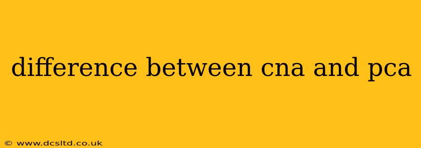 difference between cna and pca