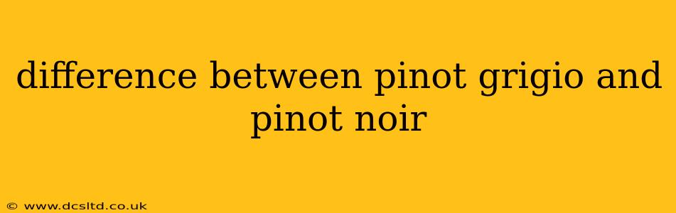 difference between pinot grigio and pinot noir