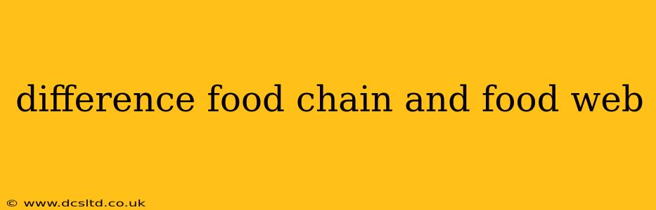 difference food chain and food web
