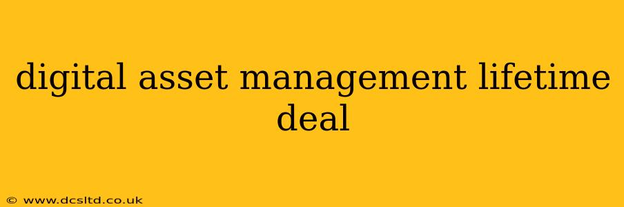 digital asset management lifetime deal