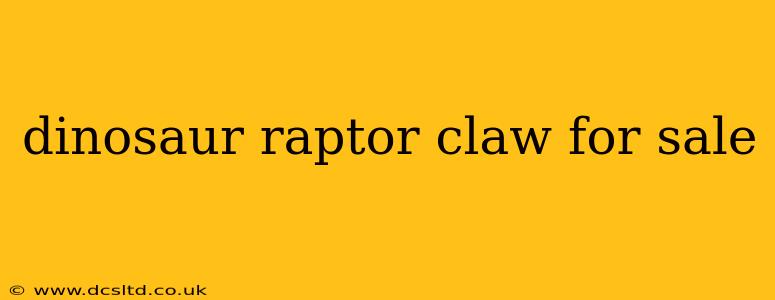 dinosaur raptor claw for sale