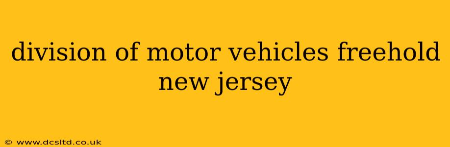division of motor vehicles freehold new jersey