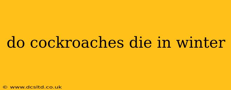 do cockroaches die in winter