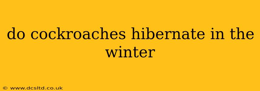 do cockroaches hibernate in the winter