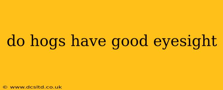 do hogs have good eyesight