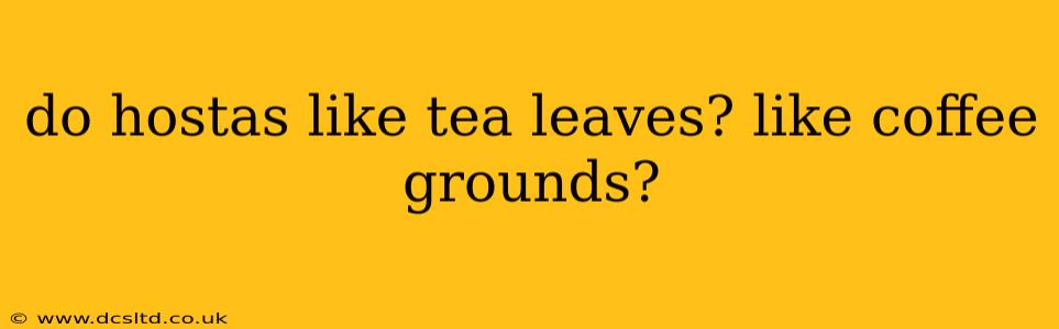 do hostas like tea leaves? like coffee grounds?