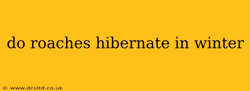 do roaches hibernate in winter