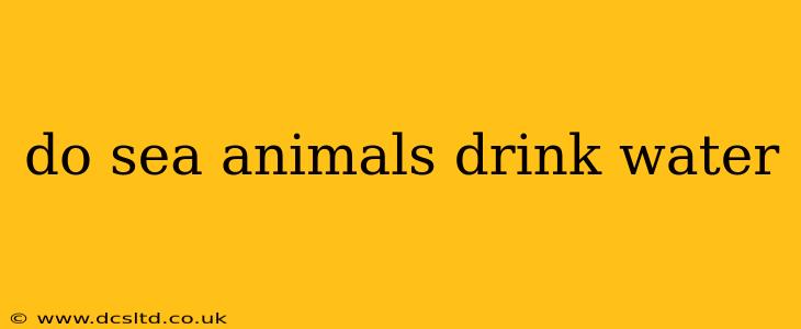 do sea animals drink water