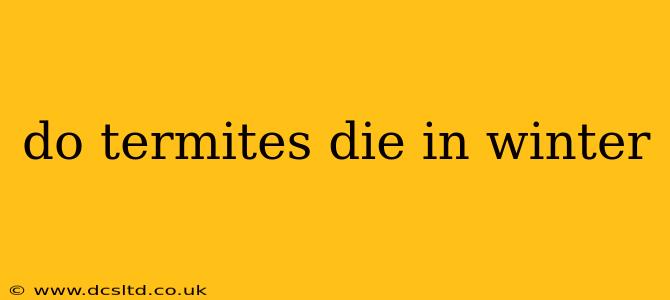 do termites die in winter