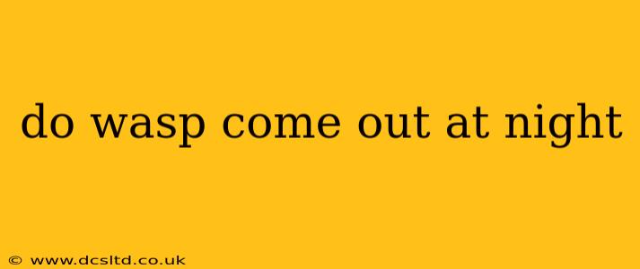 do wasp come out at night