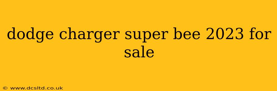 dodge charger super bee 2023 for sale