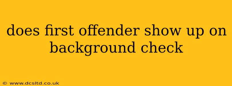 does first offender show up on background check