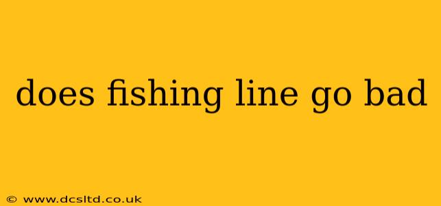 does fishing line go bad