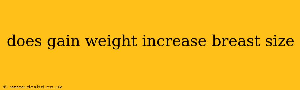 does gain weight increase breast size