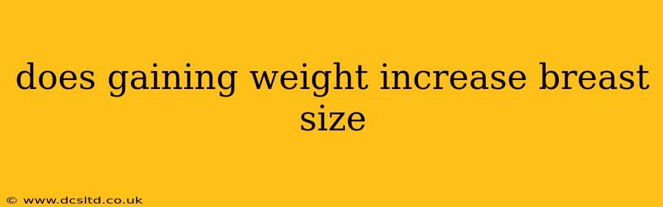 does gaining weight increase breast size