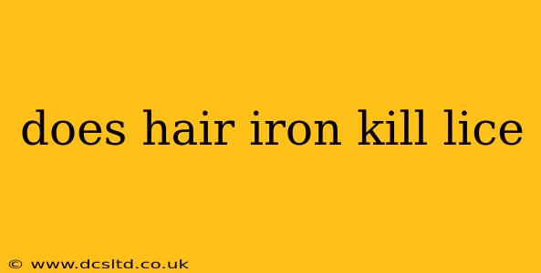 does hair iron kill lice