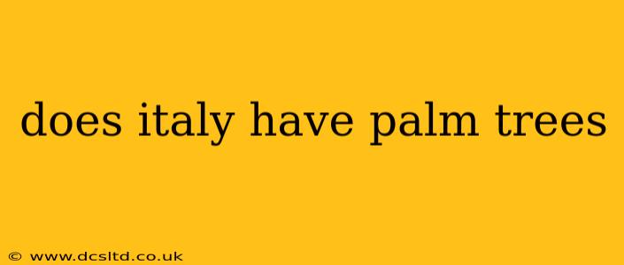 does italy have palm trees