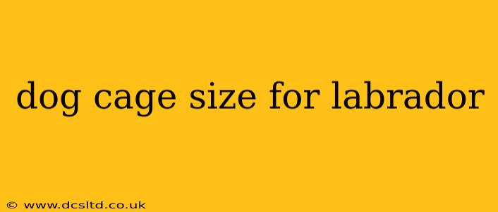 dog cage size for labrador