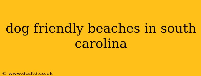 dog friendly beaches in south carolina